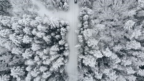 Winter-season-snowy-mountain-forest-aerial-shot-Breathtaking-natural-landscape,-frozen-forest-and-dark-mountain-river